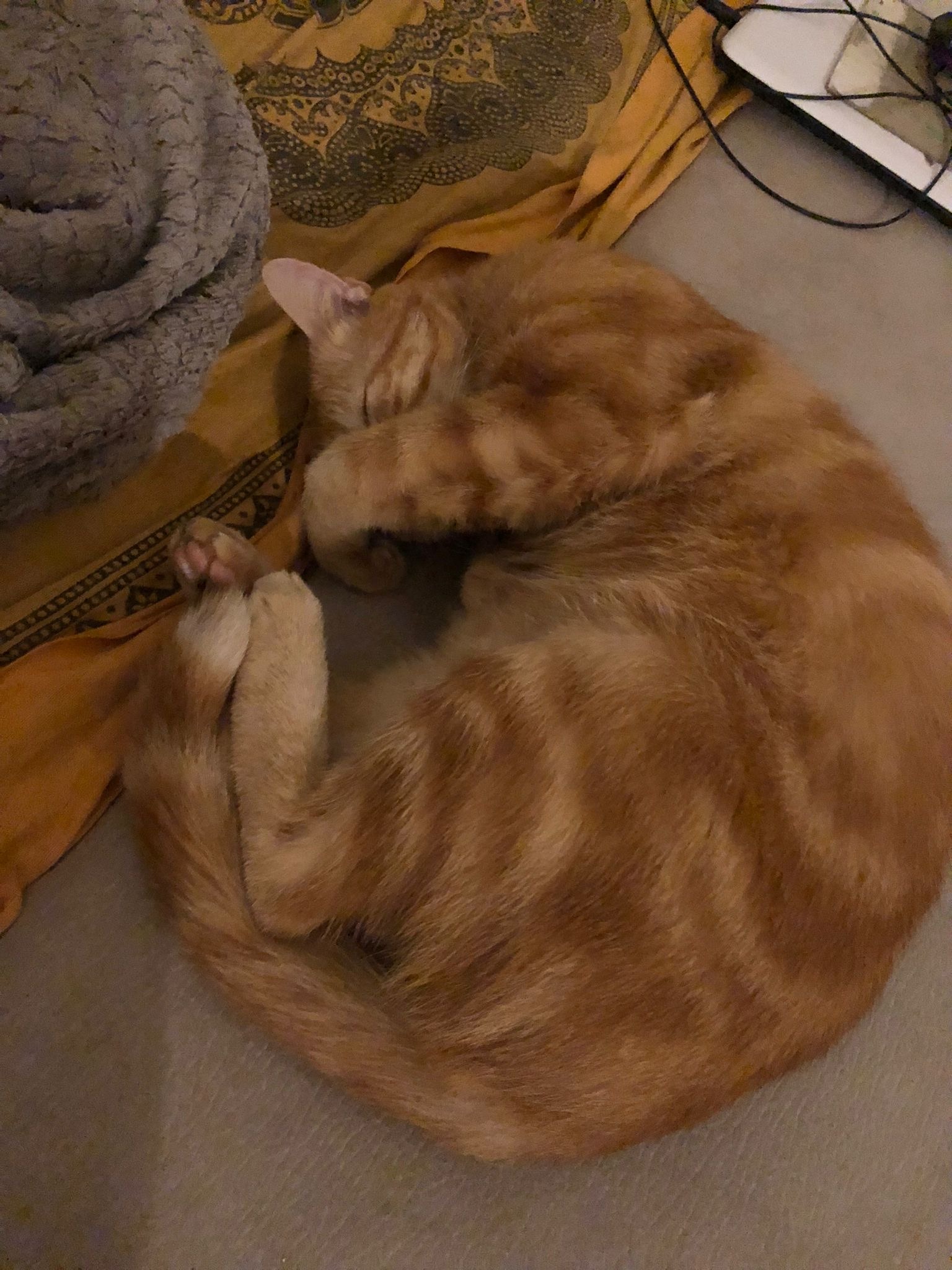 Profil von Franck-emmanuel