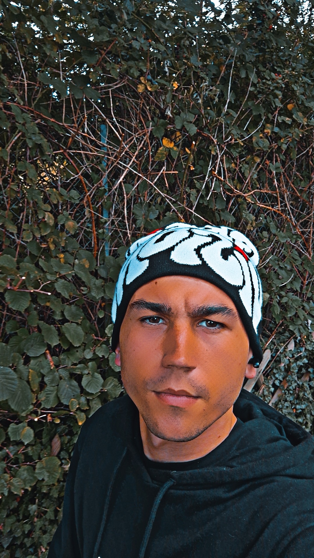 Profil von Villy