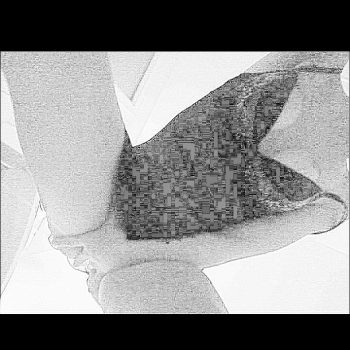 Profil von Veroniqua