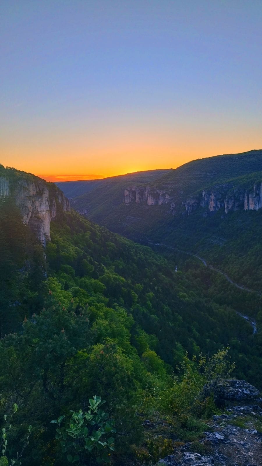 Profil von Mohand-said